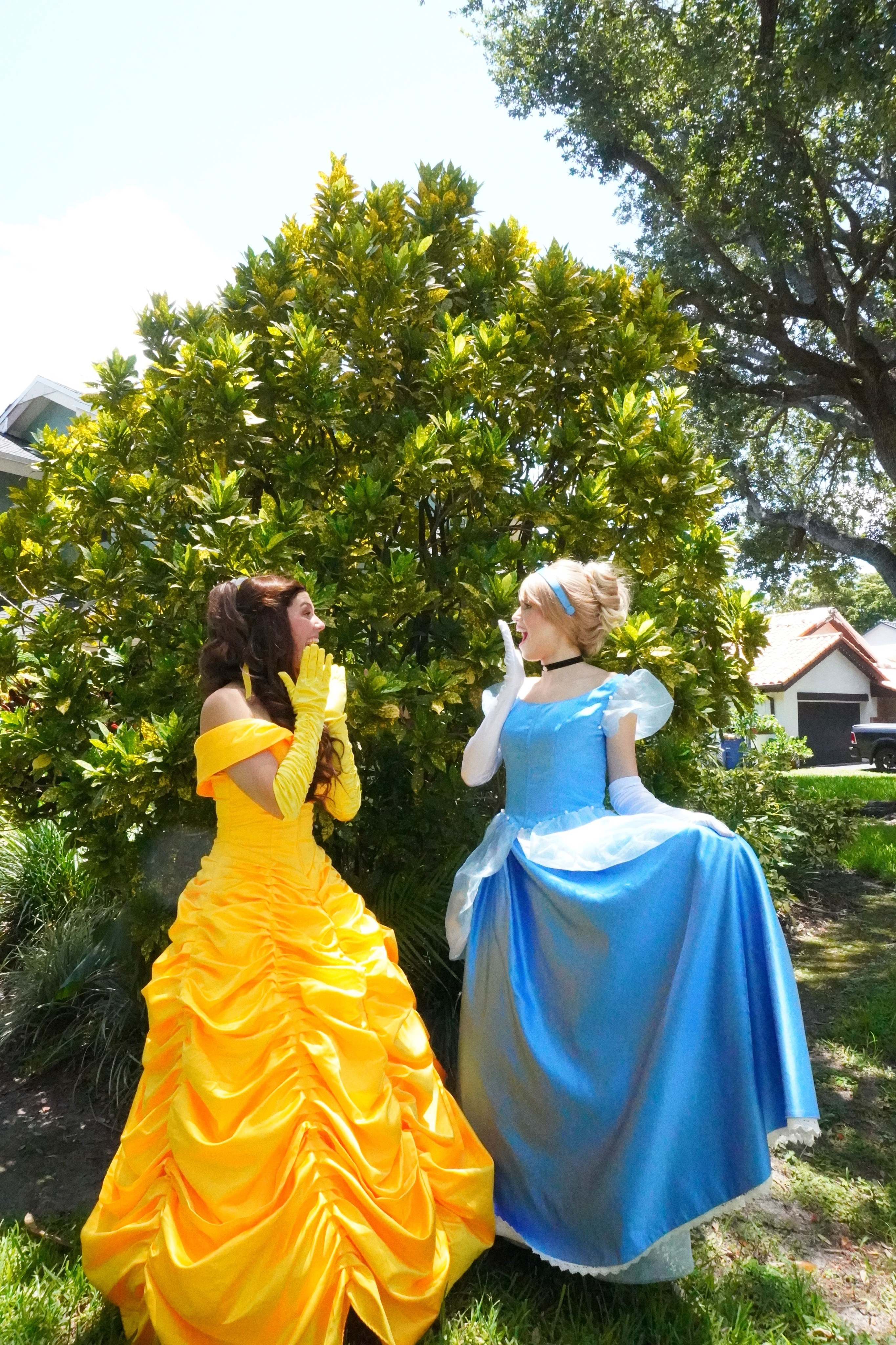 Belle & Cinderella